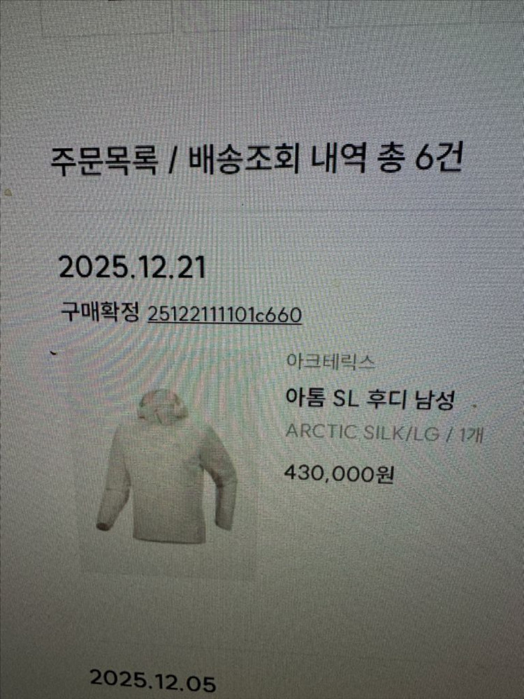 아크테릭스아톰sl후디 2025FW 남성 L--9