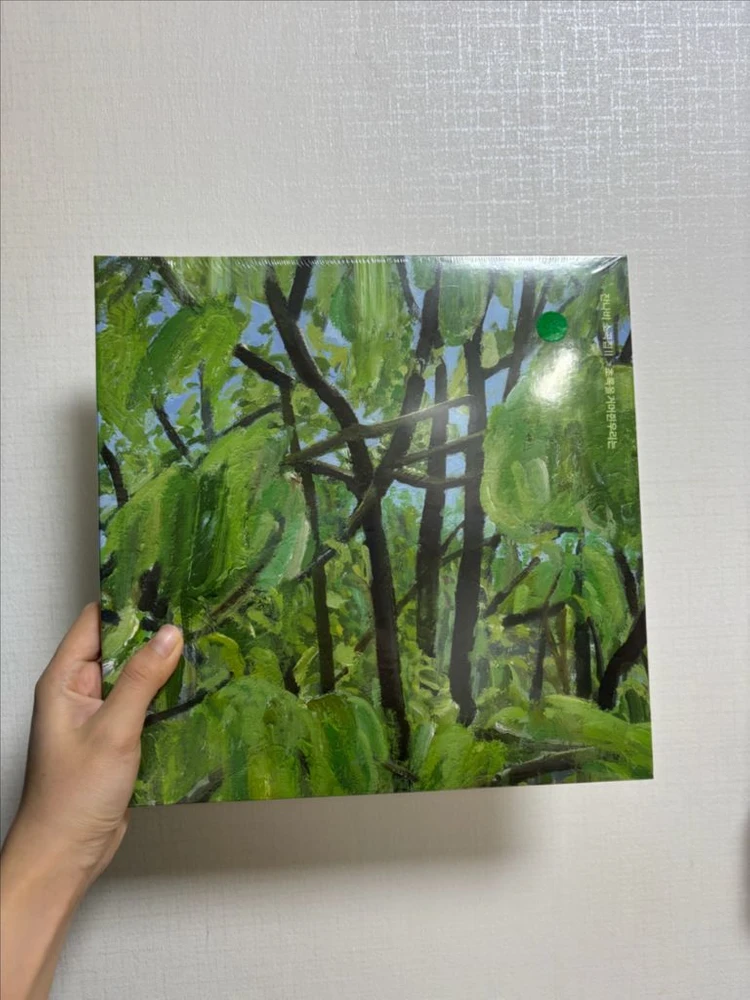 각종 LP, CD 혁오, 아도이, 잔나비, 웨이브투어스 외 다수 - 안심되는 중고거래