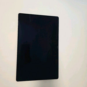 갤럭시탭s9 울트라 256gb wifi