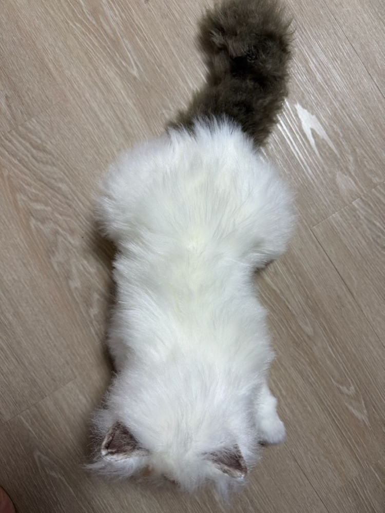 수제 고양이 장식인형--2