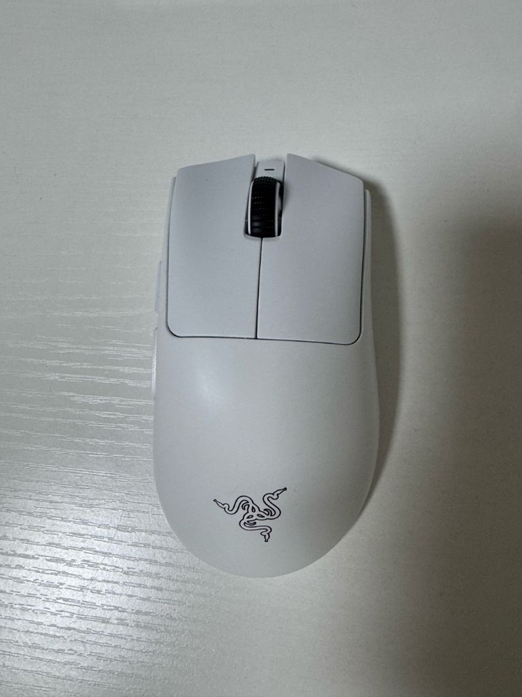 레이저 데스에더 v4 pro 화이트--2