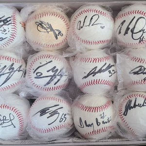 프로야구 선수 한화, 기아, 삼성, 롯데, NC 사인볼