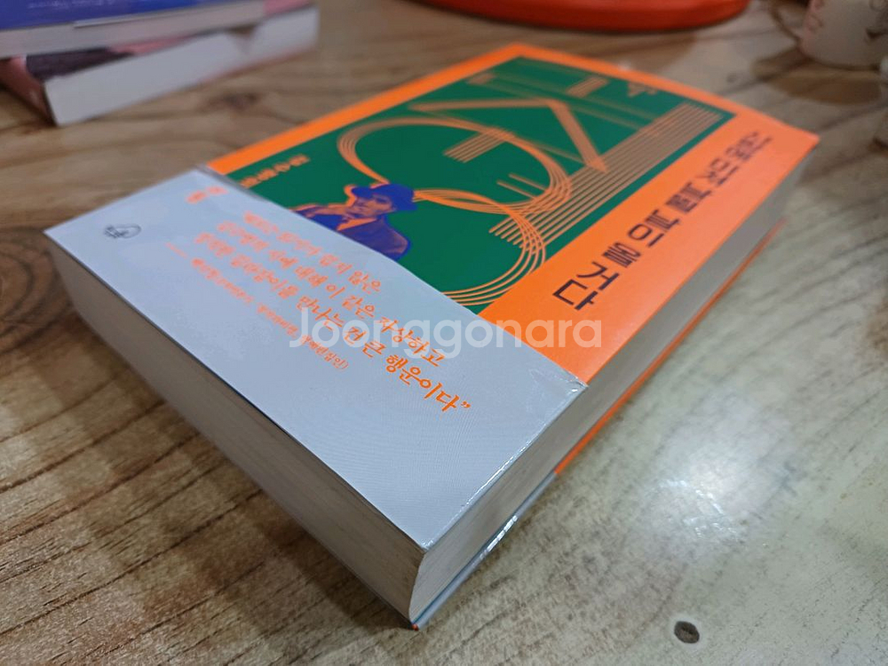 사랑에 미쳐 날뛸날이 올 거다.(김수영의 비원_황규관._지음 )--1