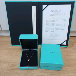 F.VVS1/티파니 4.7부 다이아 솔리테어 플래티늄 목고리,목걸이(5부)0.47캐럿