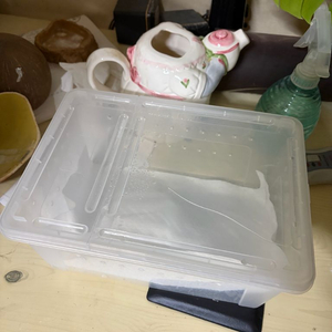 파충류 양서류 사육장