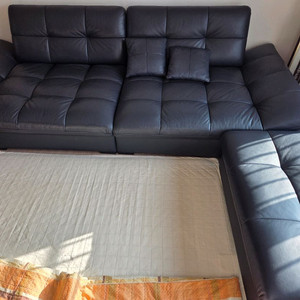 자코모 쇼파 거의 새거