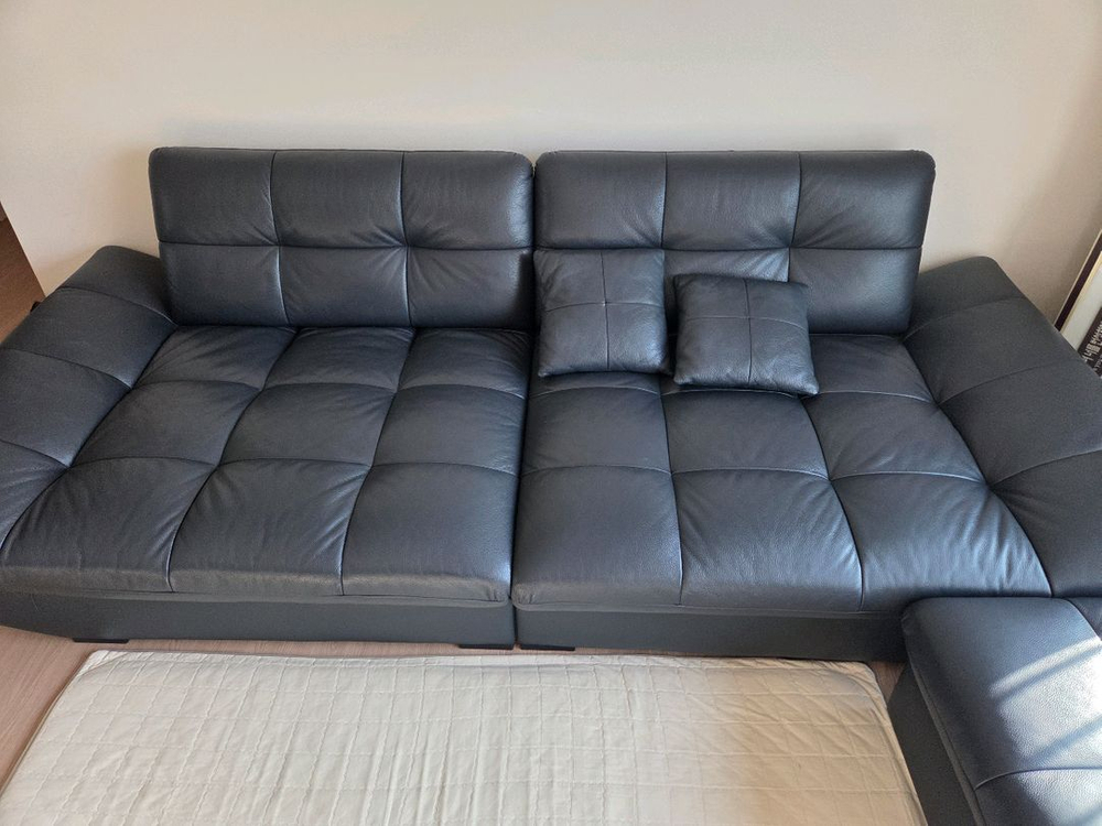 자코모 쇼파 거의 새거--1