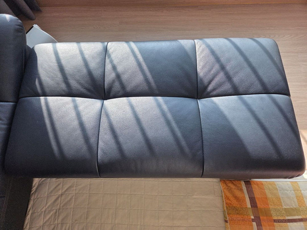 자코모 쇼파 거의 새거--2