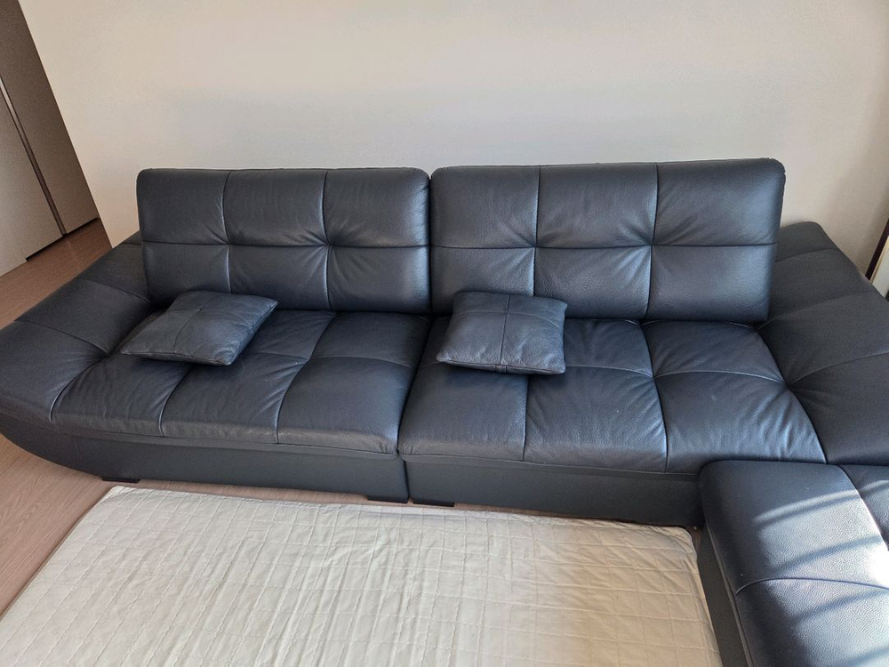 자코모 쇼파 거의 새거--3