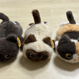 라이어캣츠 러시안블루 고양이 중형인형(새상품)