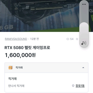 RTX 5080 펠릿 이미지