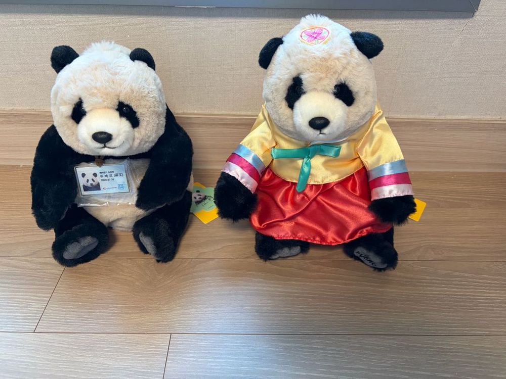 푸바오(사원증,한복)인형 에코백s,잡지,모빌 굿즈세트 일괄로 판매 해요~ 가격내림 이미지