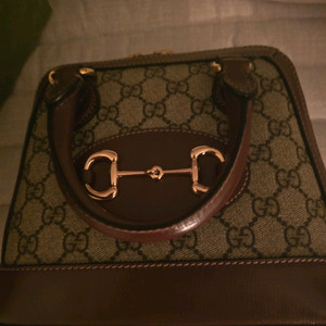 GG 캔버스 미니 핸드백