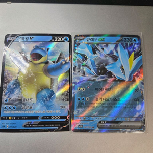 포켓몬카드 거북왕v 큐레무ex