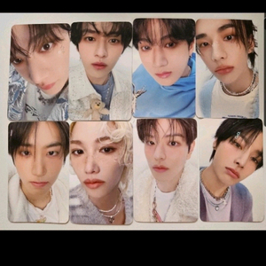 스트레이키즈 스키즈 팬미팅md특전포카