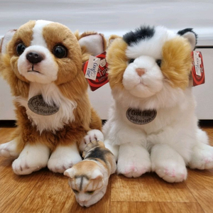 강아지 고양이 인형