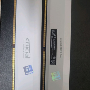 Crucial DDR5 Pro 16GB 6000MHz 램 2개, 총 32GB