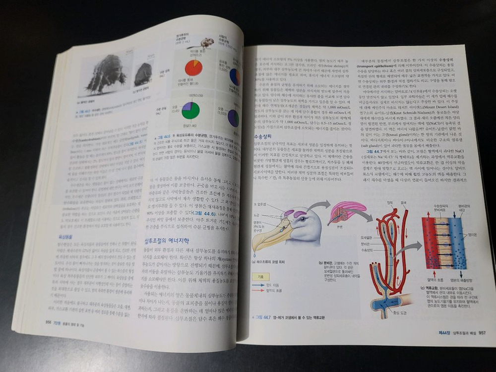 생명과학 교재 9판 이미지