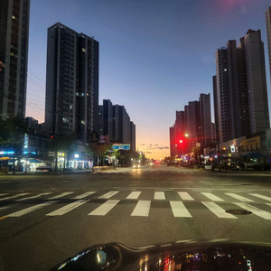 알로항 머니 팝니다