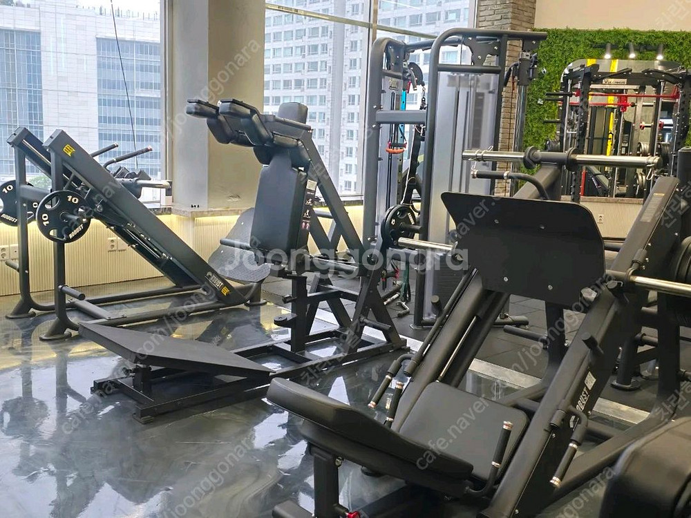 중고 로버스트--1