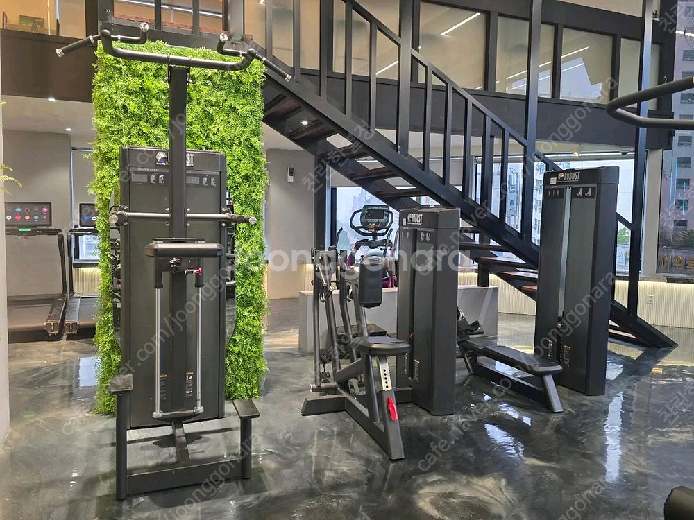 중고 로버스트--2