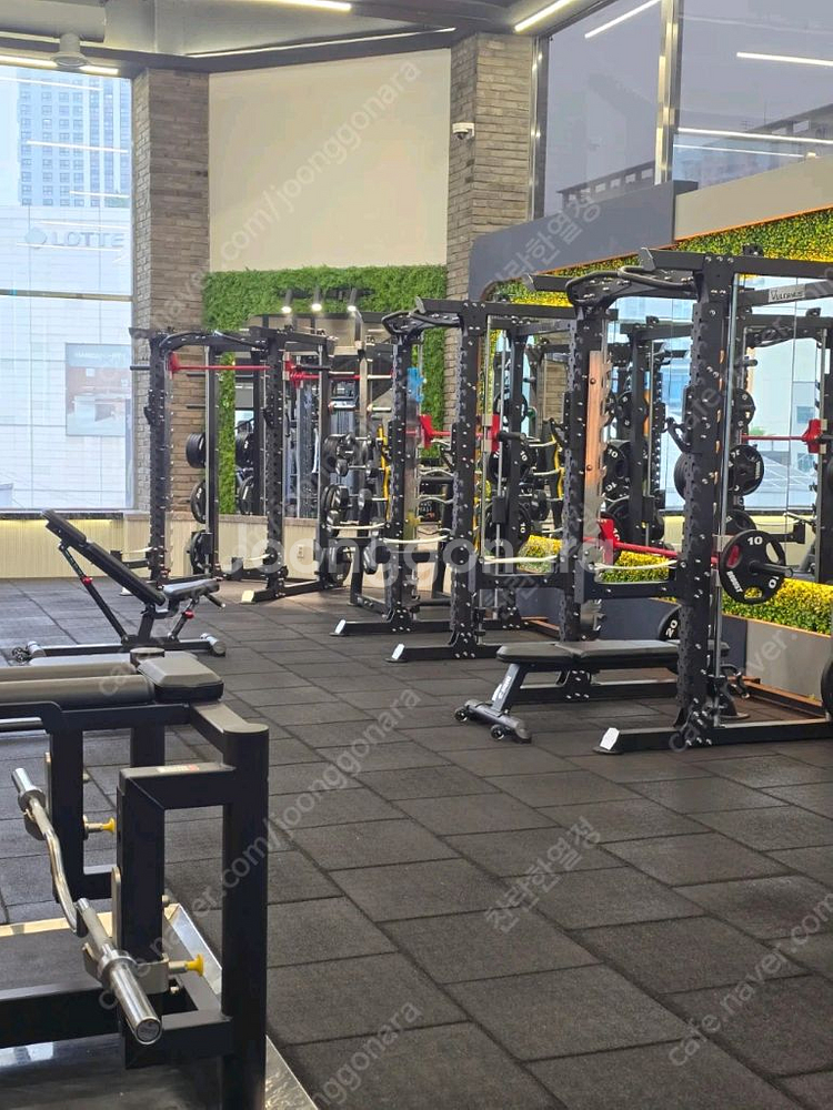 중고 로버스트--3