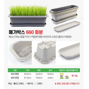 긴화분 판매합니다