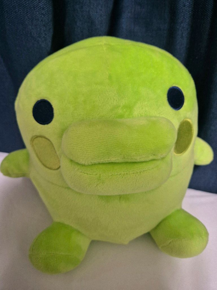 급처)) 다마고치 주댕치 쿠치파치 중형 인형 구치파치 이미지