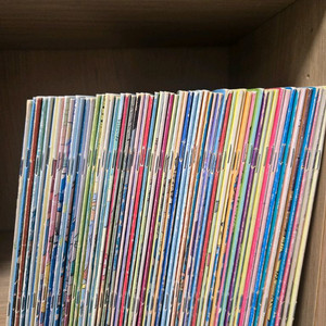 BERENSTAIN BEARS 베렌스타인 베어스 그림책 60권