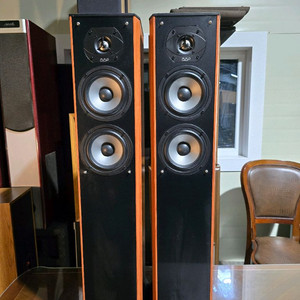 어메리칸 어쿠스틱 AAD C-550 톨보이 스피커