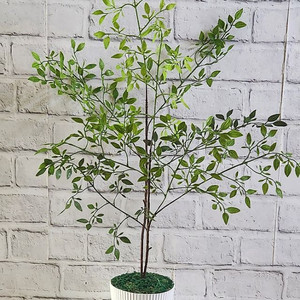 새상품)이케아 화분 싱그러운 화초 조화 인테리어 소품