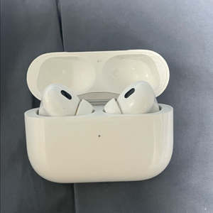 애플 에어팟 프로 2세대