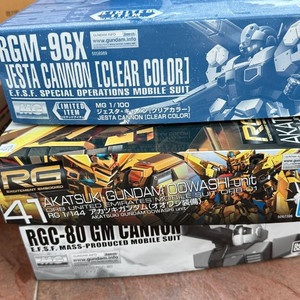 엑스포 한정 제스타 캐논 외 팝니다