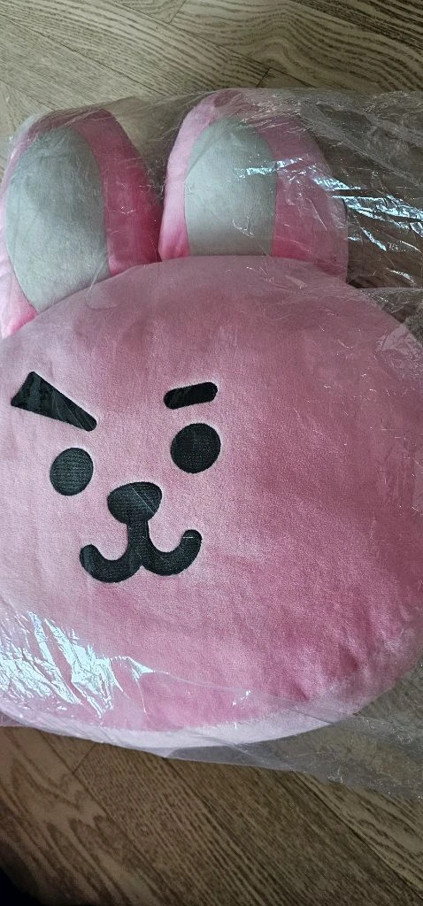 BT21 COOKY 쿠션 bt21 쿠키 정국 방탄소년단 얼굴 대형쿠션인형 - 안심되는 중고거래