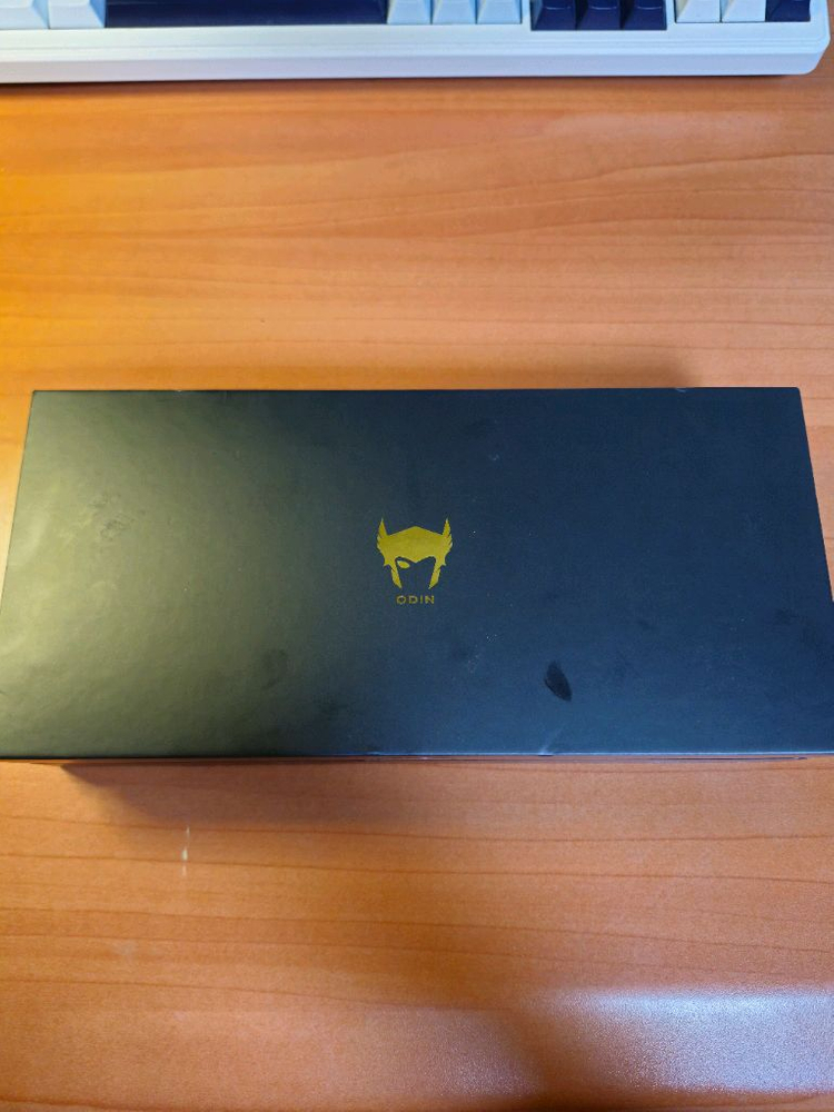 오딘 라이트 닌텐도 플스 안드로이드 게임기--4