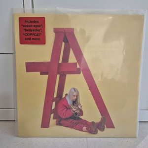 빌리아일리시 dont smile at me LP(레드)