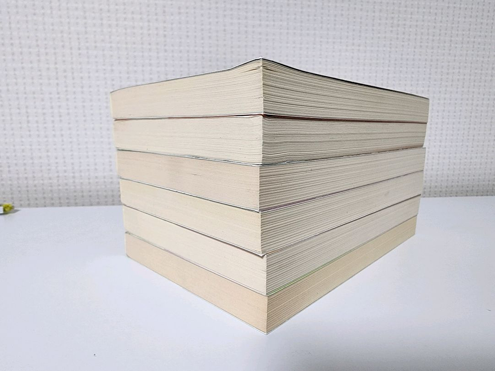 비턴의 해미시 맥베스 순경 시리즈 6권--1