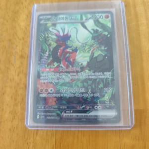 포켓몬카드 코라이돈ex 특일SAR 이미지