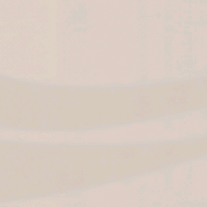 원스토어득템전 신선혼리버스사요