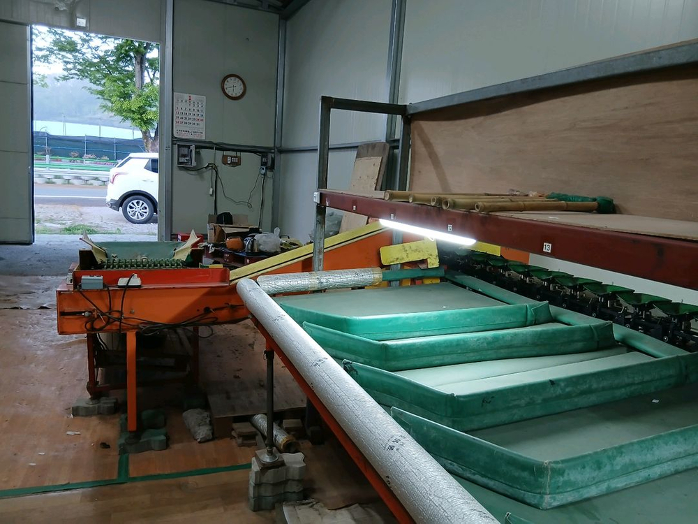 사과선별기 13단 자동ㅡ한성테크--1