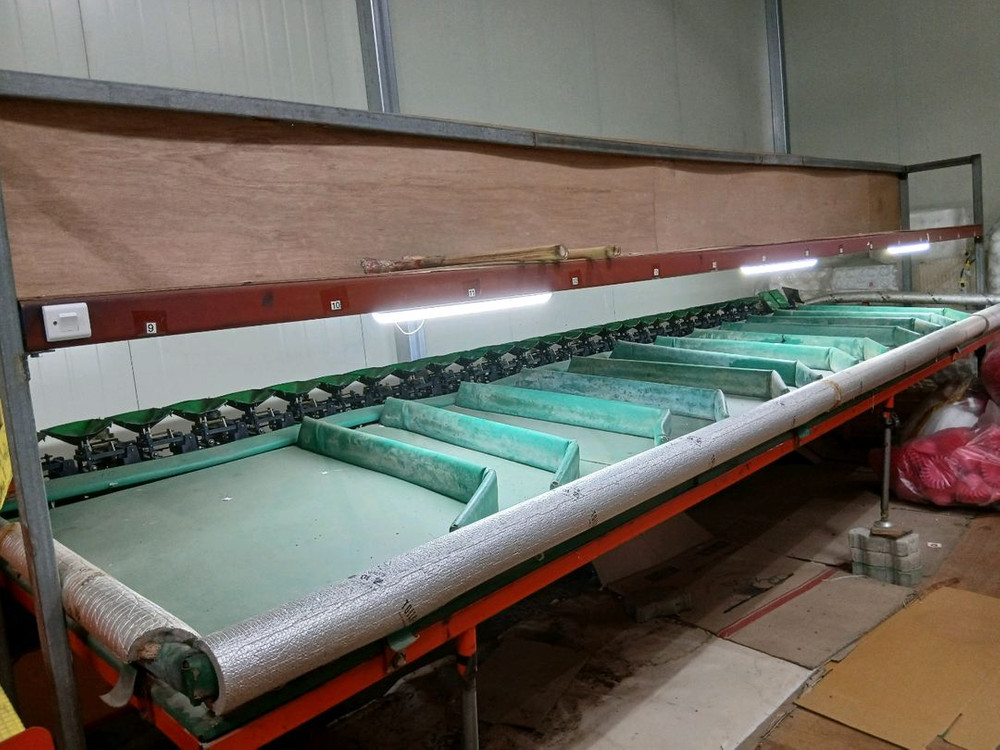 사과선별기 13단 자동ㅡ한성테크--2