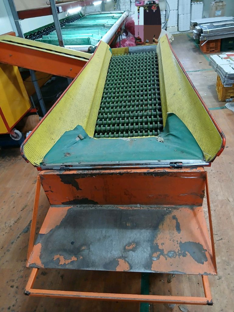 사과선별기 13단 자동ㅡ한성테크--4