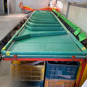 사과선별기 13단ㅡ진영산업