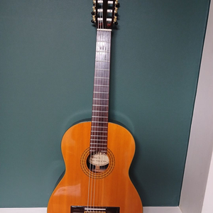 카를로스 클래식기타