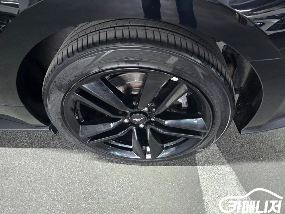 [포드]머스탱 6세대 쿠페 #2026년특가--7