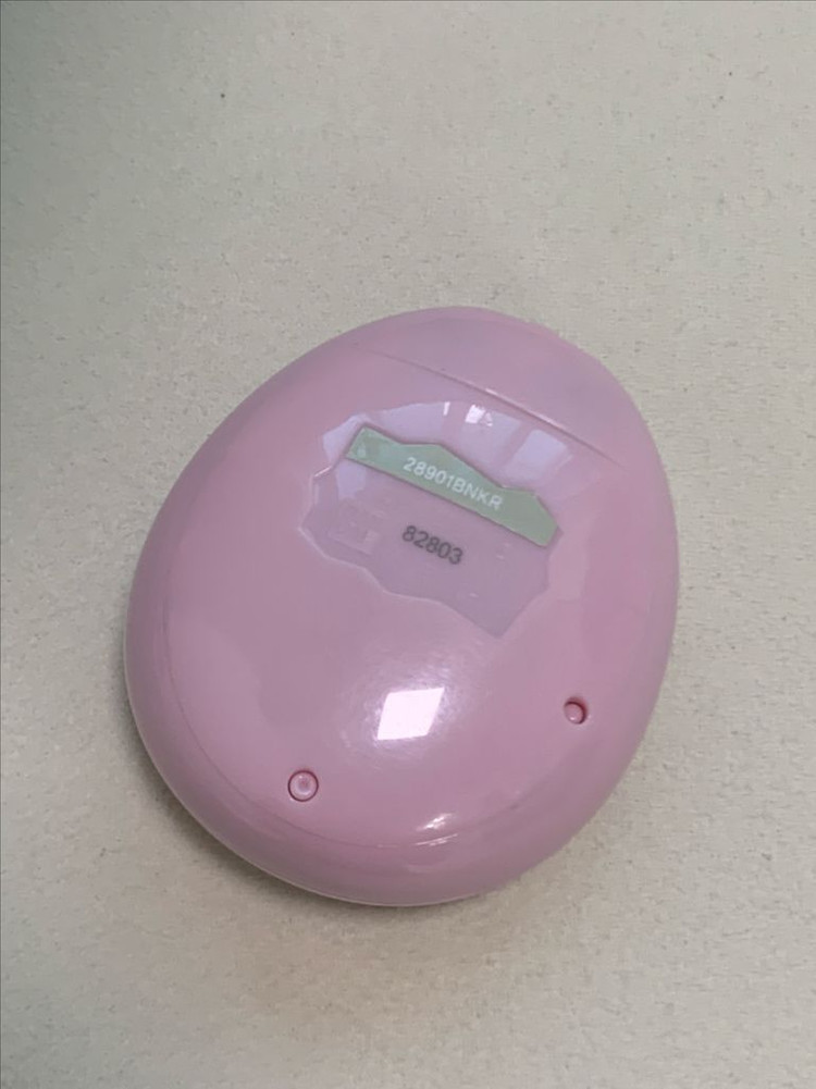 다마고치 썸 핑크 이미지