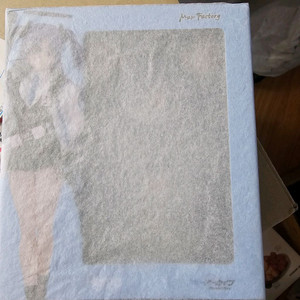 피그마 블루아카이브 하야세 유우카 특전 포함 미개봉 팔아요