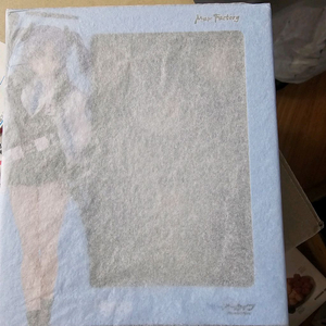 피그마 블루아카이브 하야세 유우카 특전 포함 미개봉 팔아요