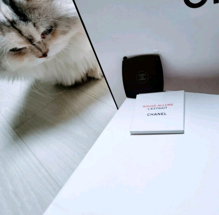 샤넬파우치 (새상품) + 덤(미니거울)ㅡ6--3