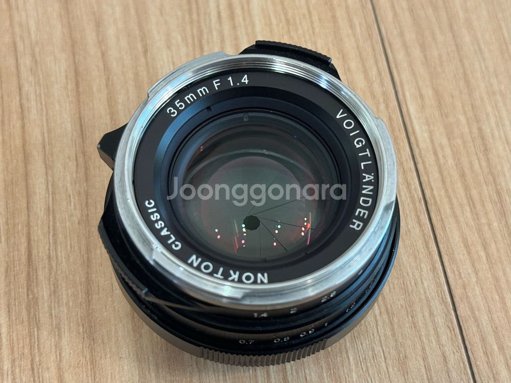 Epson RD-1S RF식 디지털 카메라 + 보이그란더 녹턴렌즈--2